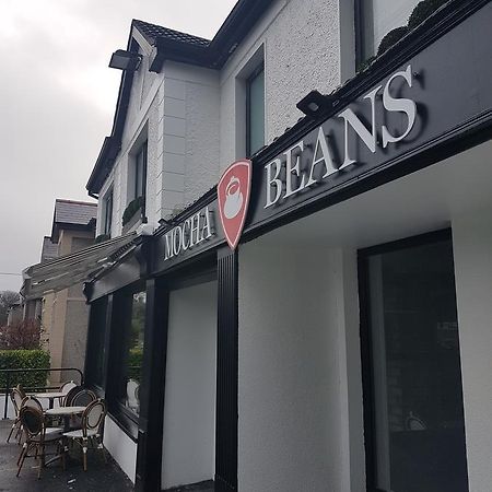 ゴールウェイ Mocha Newcastle Bed & Breakfast エクステリア 写真