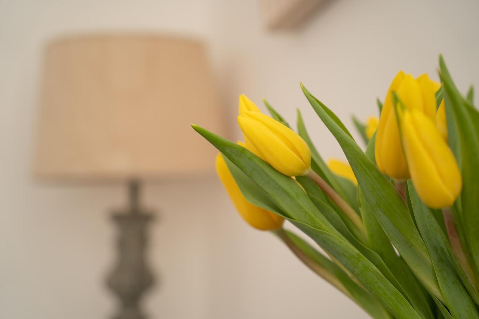 ゴールウェイ Mocha Newcastle Bed & Breakfast エクステリア 写真