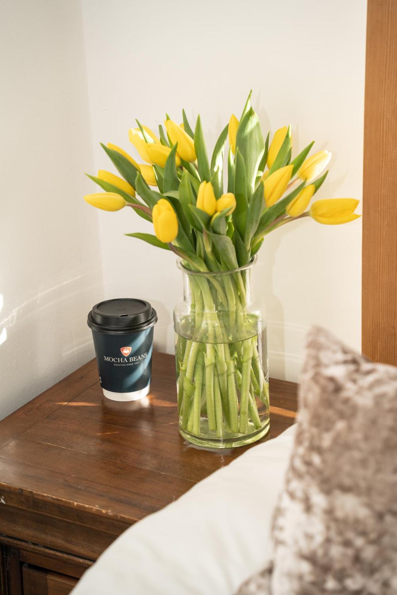 ゴールウェイ Mocha Newcastle Bed & Breakfast エクステリア 写真