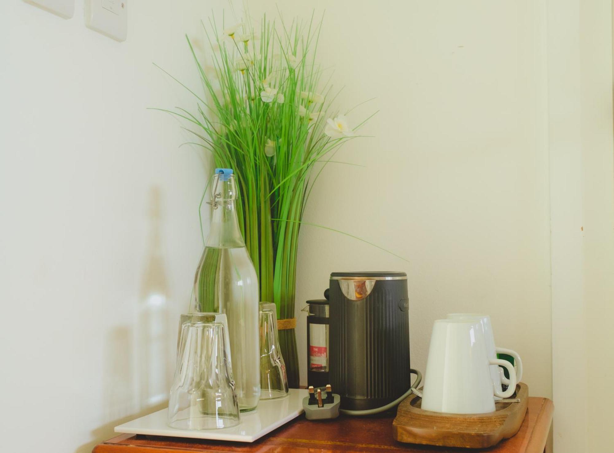 ゴールウェイ Mocha Newcastle Bed & Breakfast エクステリア 写真